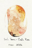 SANTA TERESA — TOTH & LAMB ORIGINAL